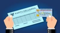 Cara Cek KK dan KTP Online via HP: Mudah dan Cepat dengan Aplikasi Ini