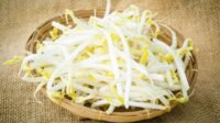 4 Manfaat Kecambah Kacang Tanah untuk Kesehatan Tubuh