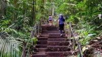 Bukit Timah Titik Tertinggi dan Destinasi Hiking Favorit