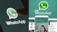 Perbedaan WhatsApp GB dan WhatsApp Resmi